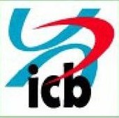 Infrastructure Construction & Builder (ICB) Logo
